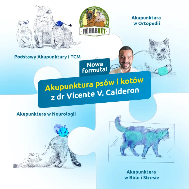 Akupunktura psów i kotów z dr Vicentem V.Calderon