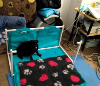 Lulu