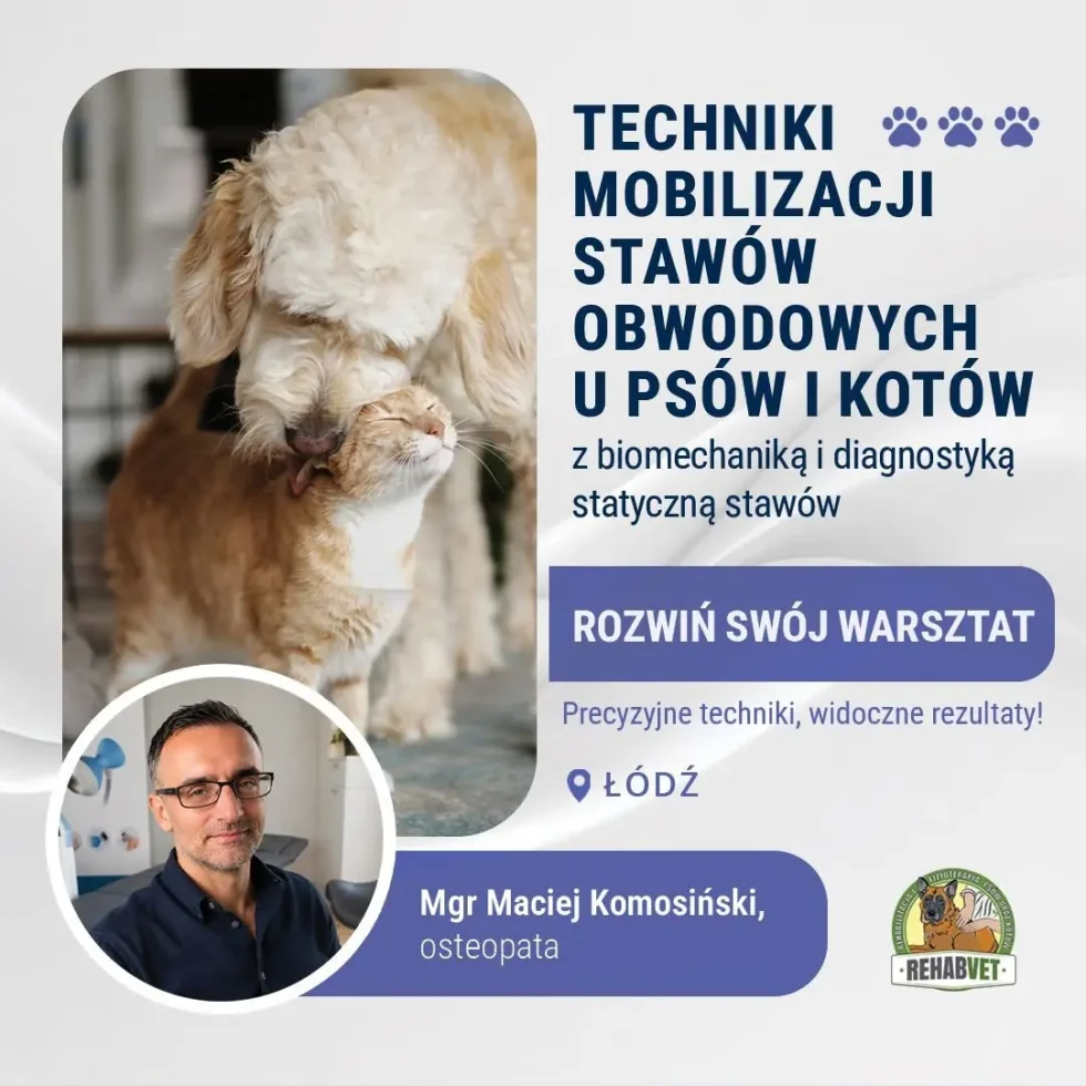 Techniki mobilizacji stawów obwodowych
