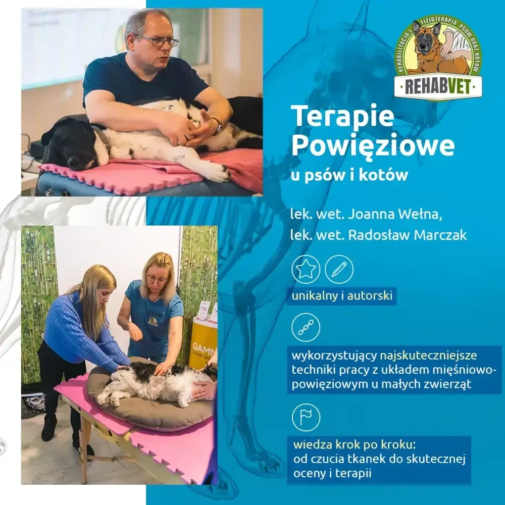 Terapie powięziowe u psów i kotów